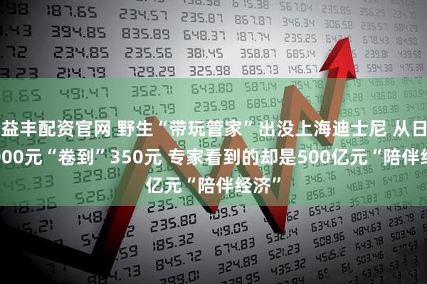 益丰配资官网 野生“带玩管家”出没上海迪士尼 从日赚1000元“卷到”350元 专家看到的却是500亿元“陪伴经济”