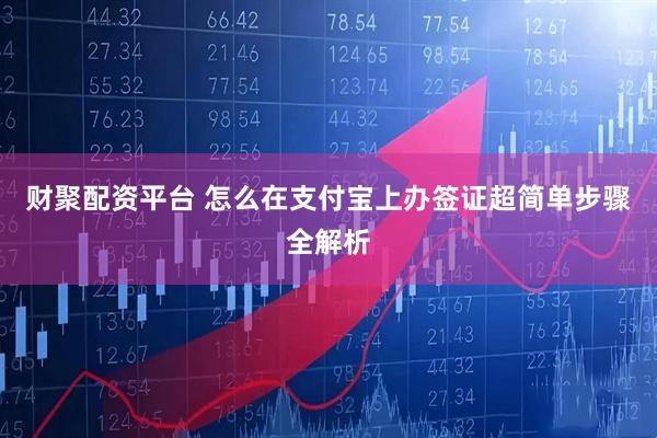 财聚配资平台 怎么在支付宝上办签证超简单步骤全解析