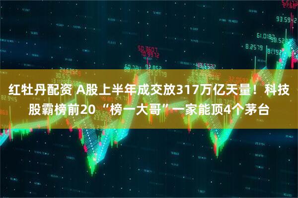 红牡丹配资 A股上半年成交放317万亿天量！科技股霸榜前20 “榜一大哥”一家能顶4个茅台
